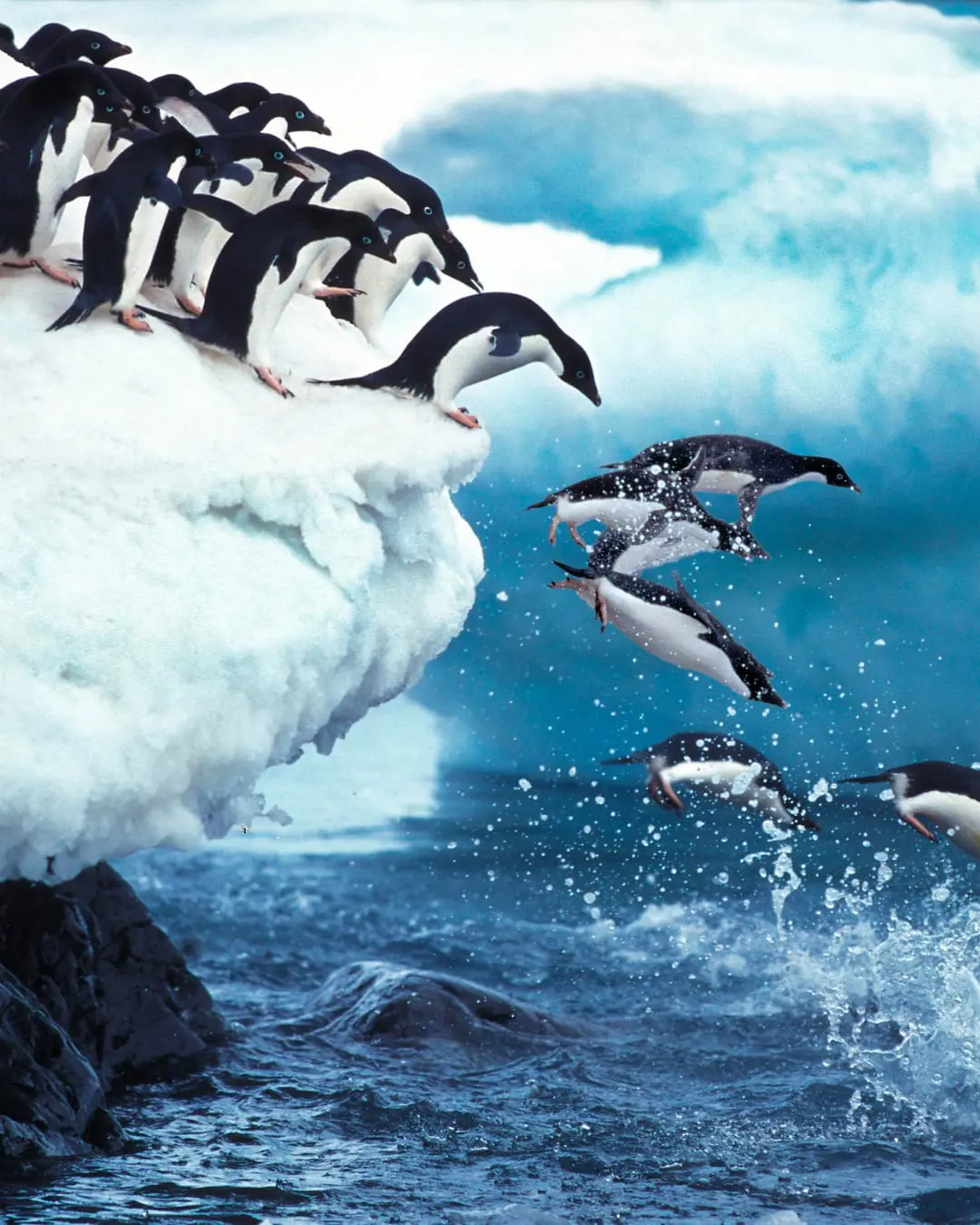 Antarctica