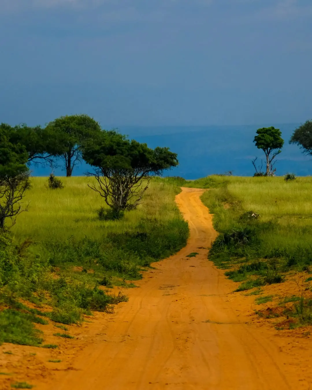 South Africa