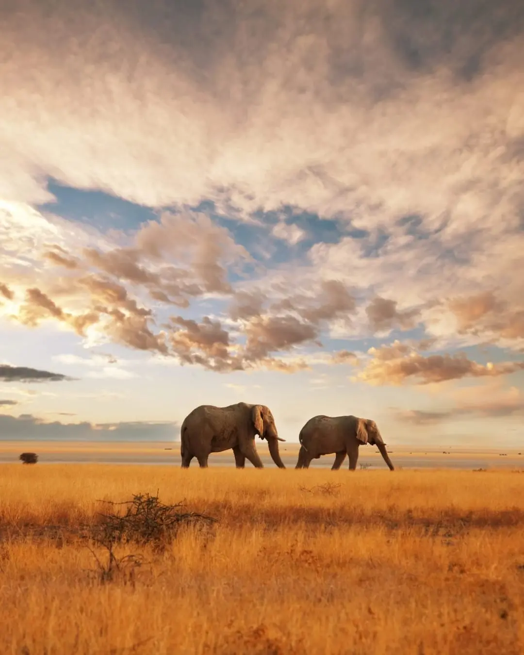 Kenya