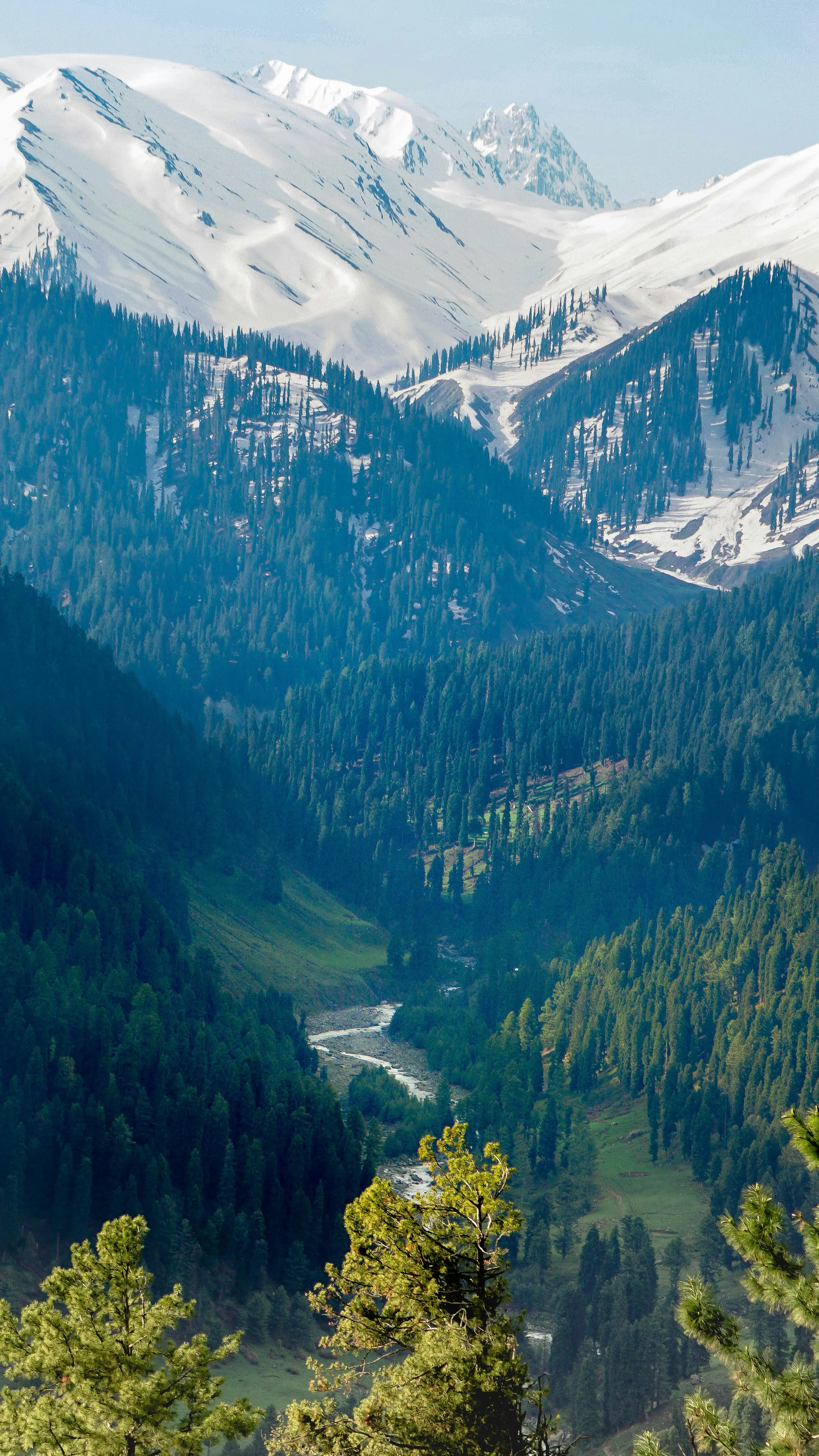 Jammu and kashmir