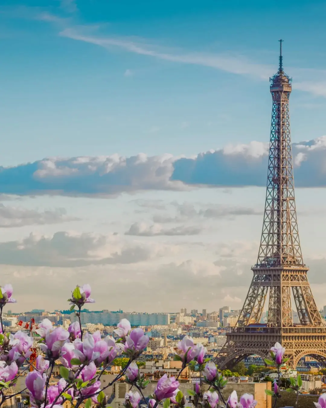 AR Travel hero banner 5